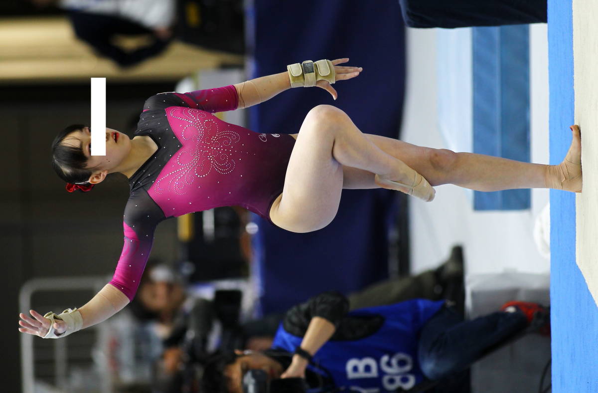 2019年全日本体操選手権 高画質写真フルセット29000枚 BD-R 女子体操