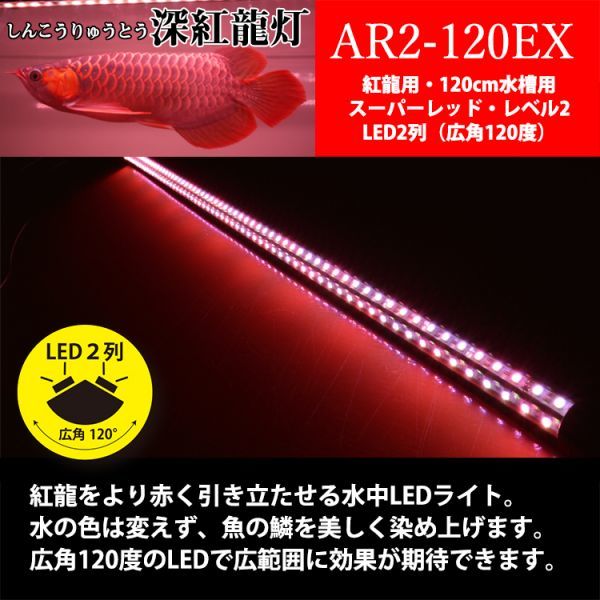深紅龍灯 アロワナ レッド レベル2 Led 2列 大型水槽 水中照明 アロワナライト アクアリウム 熱帯魚 紅龍 1cm水槽用 んらい Ar2 1ex 照明 売買されたオークション情報 Yahooの商品情報をアーカイブ公開 オークファン Aucfan Com