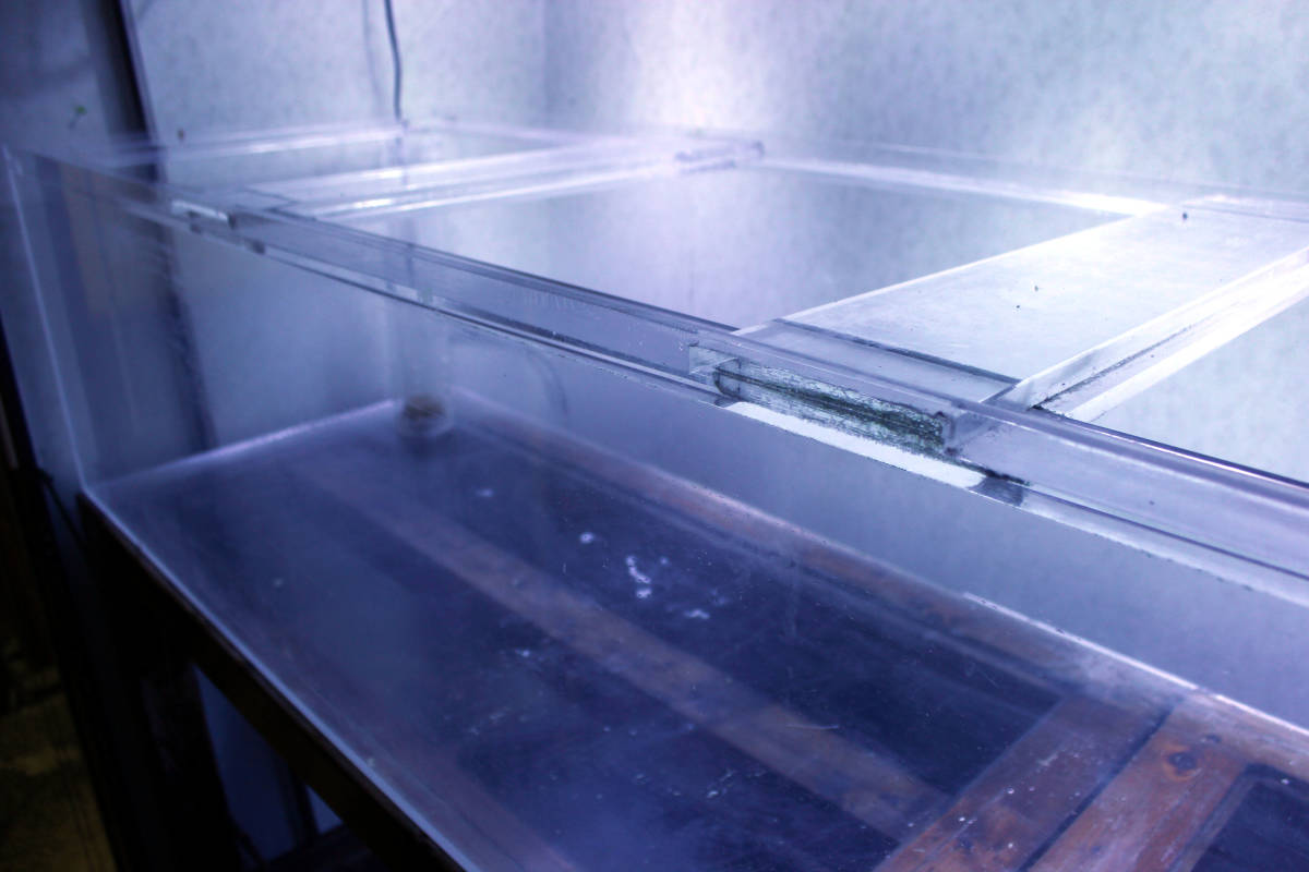 公式通販 ②引き取り限定 アクリル水槽4面ホワイト1200×600×300 2台 