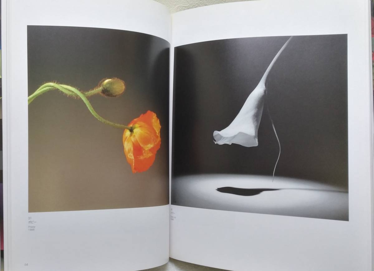 写 メイプルソープ アラーキー 百花乱々展 01 03 ロバート メイプルソープ 荒木経惟 花の写真集 アート ライフ 静物 売買されたオークション情報 Yahooの商品情報をアーカイブ公開 オークファン Aucfan Com 写 メイプルソープ アラーキー 百花乱々展 01 03 ロバート メイプルソープ 荒木経惟 花の写真集 アート ライフ 静物 売買されたオークション情報 Yahooの商品情報をアーカイブ公開 オークファン Aucfan Com