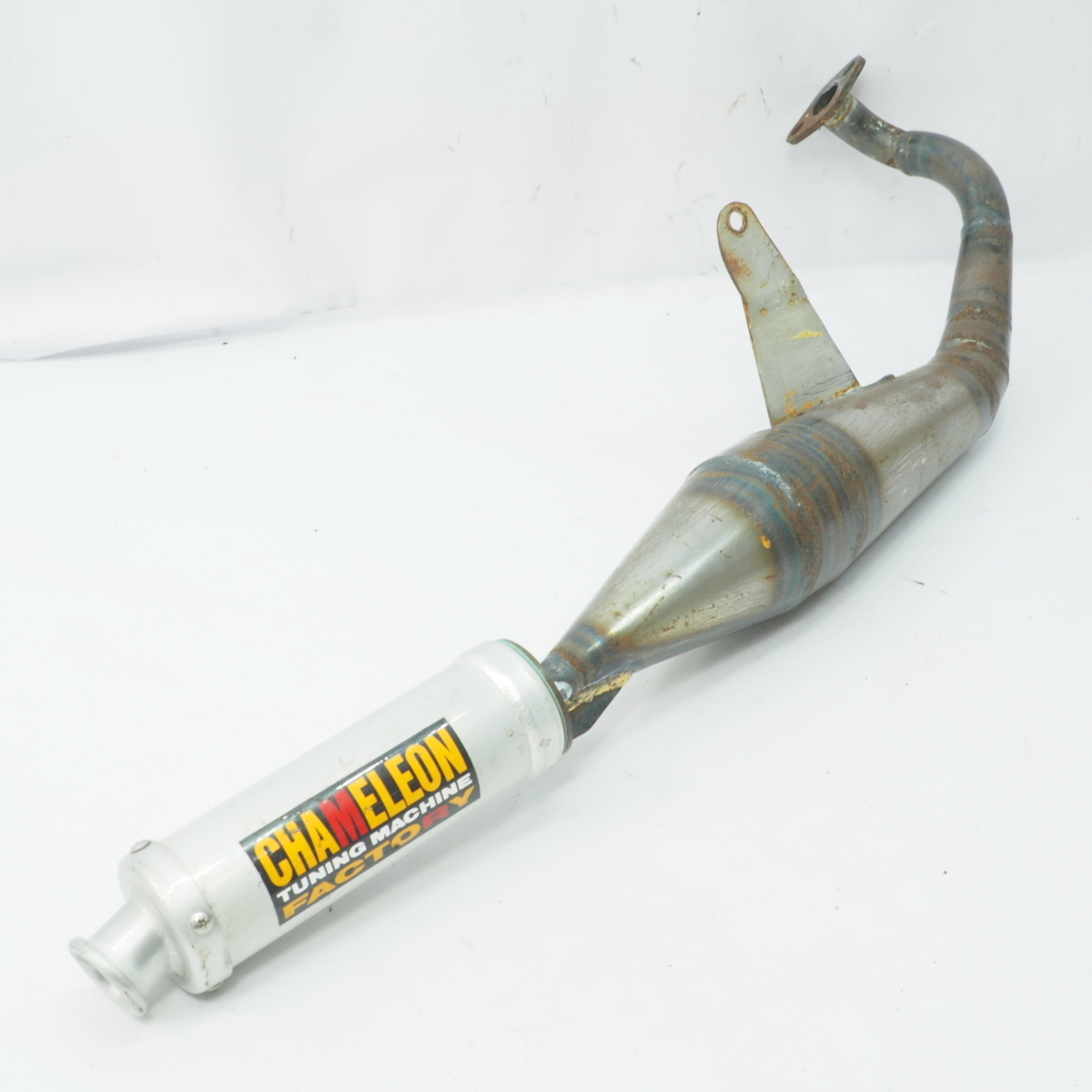 チャンバー カメレオンファクトリー 3yk ジョグカメファク カメレオン