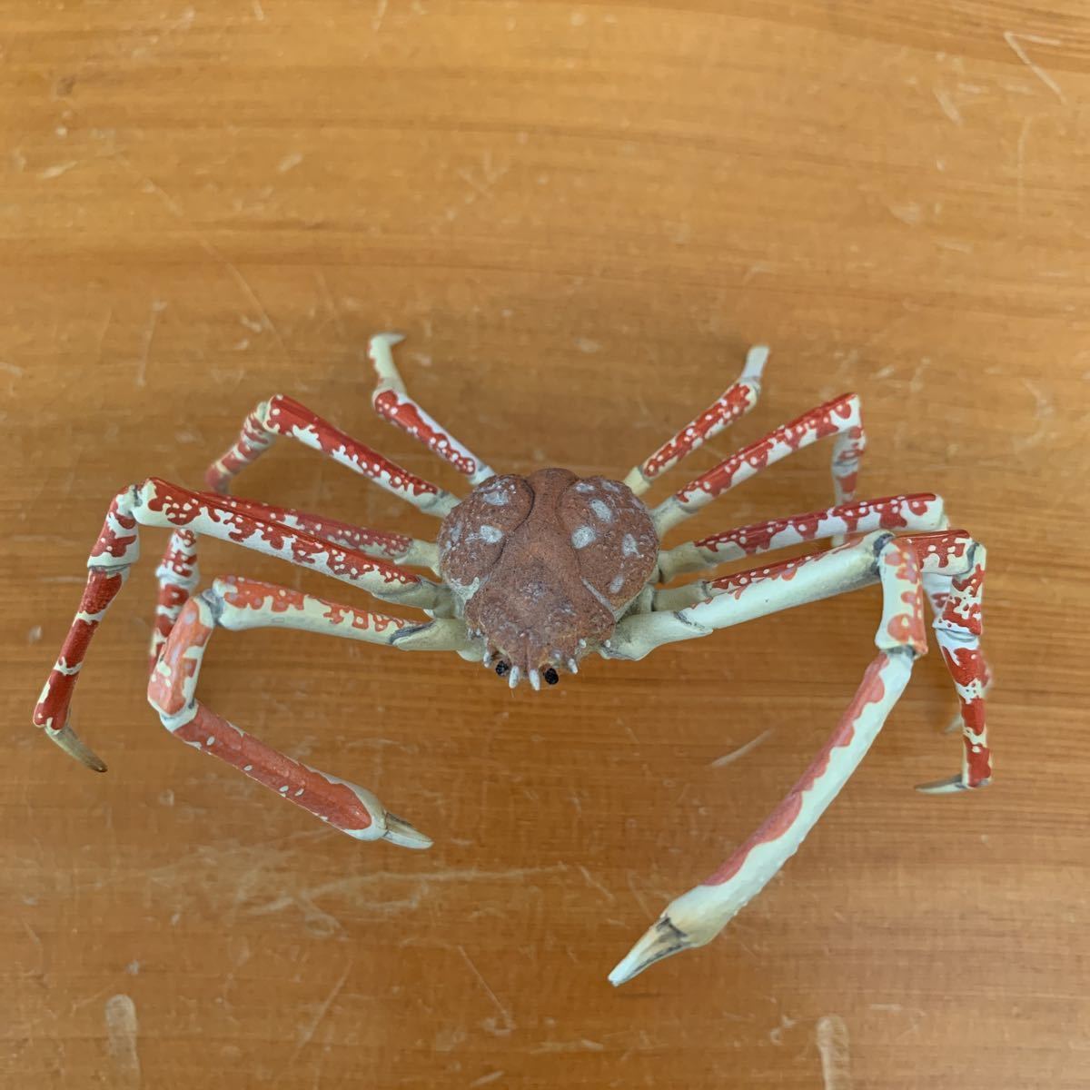 原色甲殻類エビ カニ図鑑 No 1 タカアシガニ スーパーレアアイテム A リーフレット付 説明書付 ユージン Yujin 生き物 売買されたオークション情報 Yahooの商品情報をアーカイブ公開 オークファン Aucfan Com