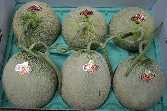 夕張メロン 共撰 良品6玉入り1箱 夕張メロン 良品6玉入