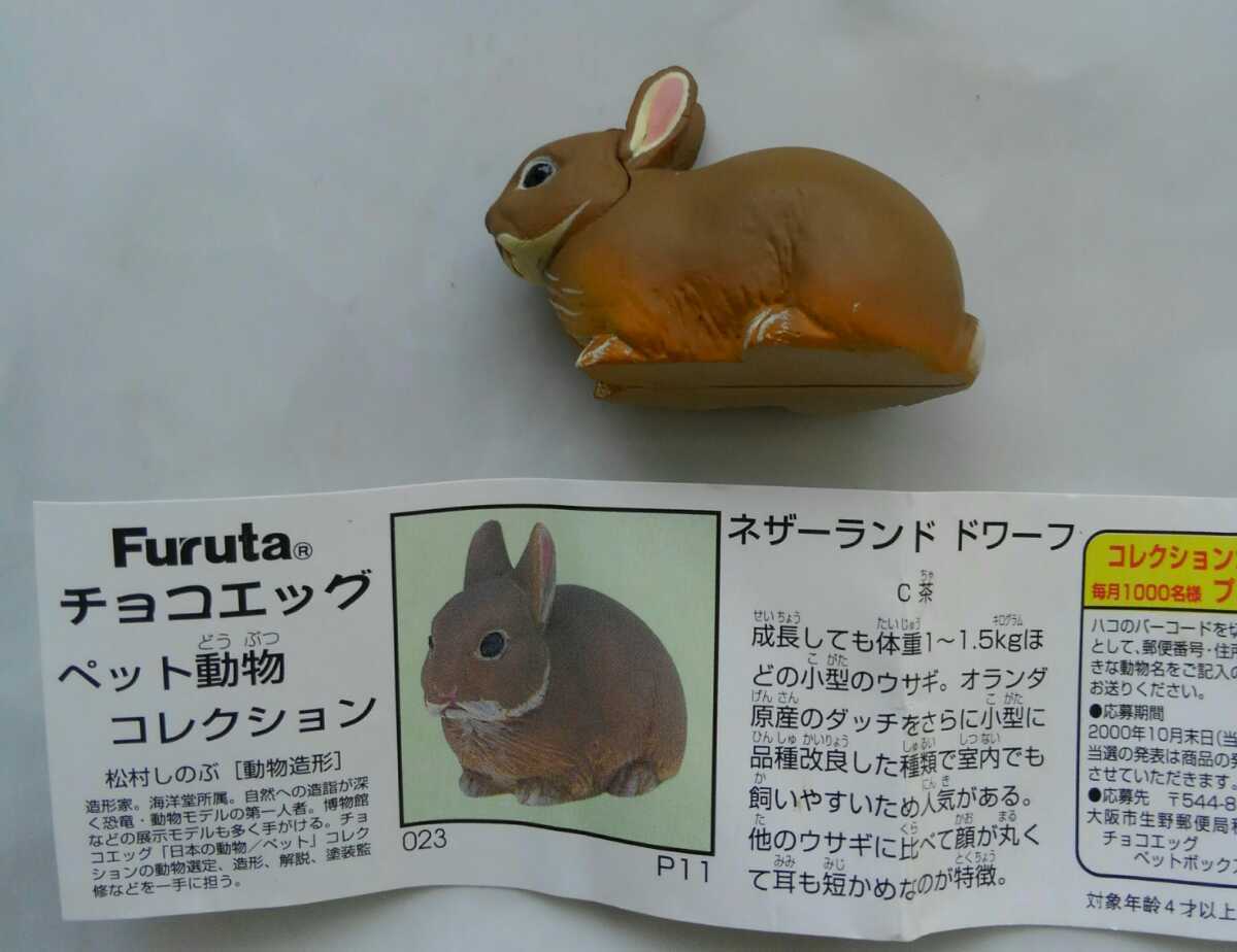 クッションカバー うさぎ柄 ウサギ クッション コットン ネザーランドドワーフ ホーランドロップ ミニウサギ リネン 綿 麻 正規品スーパーsale 店内全品キャンペーン ネザーランドドワーフ