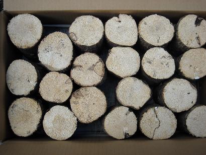 ★ナラ産卵飼育材A品40本入り（2段）★_1