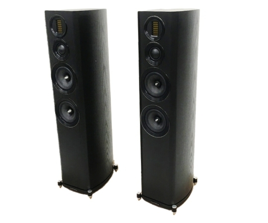 SONY ワイヤレススピーカー SRS-X99 | SRS-X99 ソニー Sony 新発売