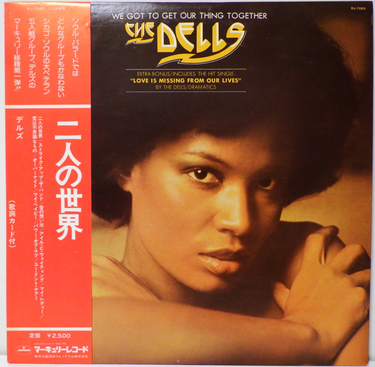 RARE ! 見本盤 帯付 デルズ 二人の世界 PROMO ! THE DELLS WE GOT TO GET PUR THING TOGETHER WITI OBI RJ-7065