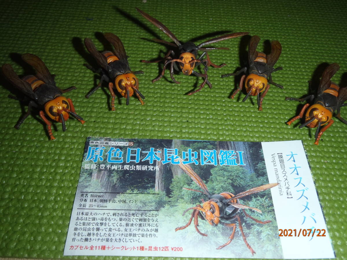 原色日本昆虫図鑑Ⅱ シークレット入り 12種フルコンプ