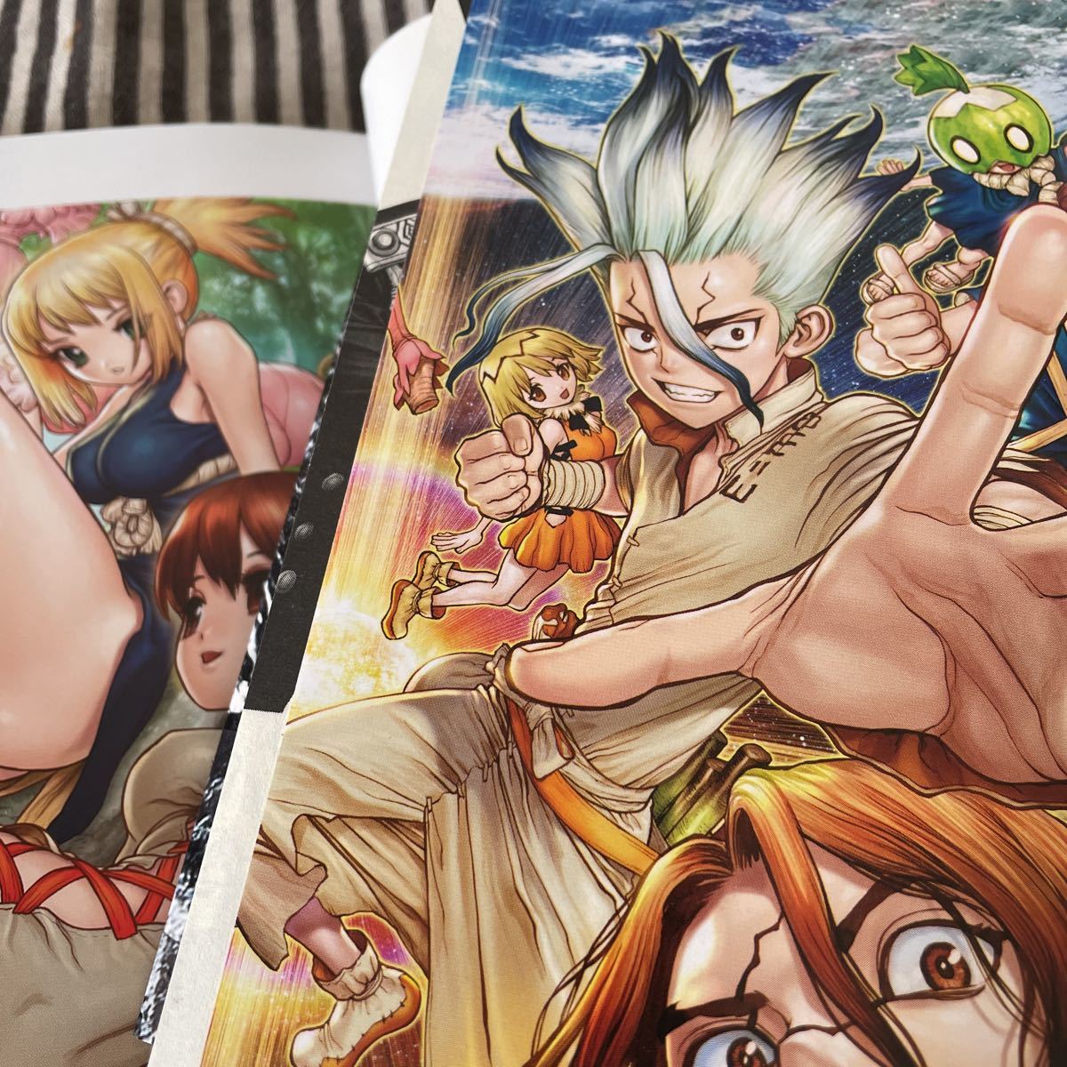 Dr Stone 全巻セット 小説 星の夢 地の歌 夏コミコースター Www Colegioalmamater Edu Mx