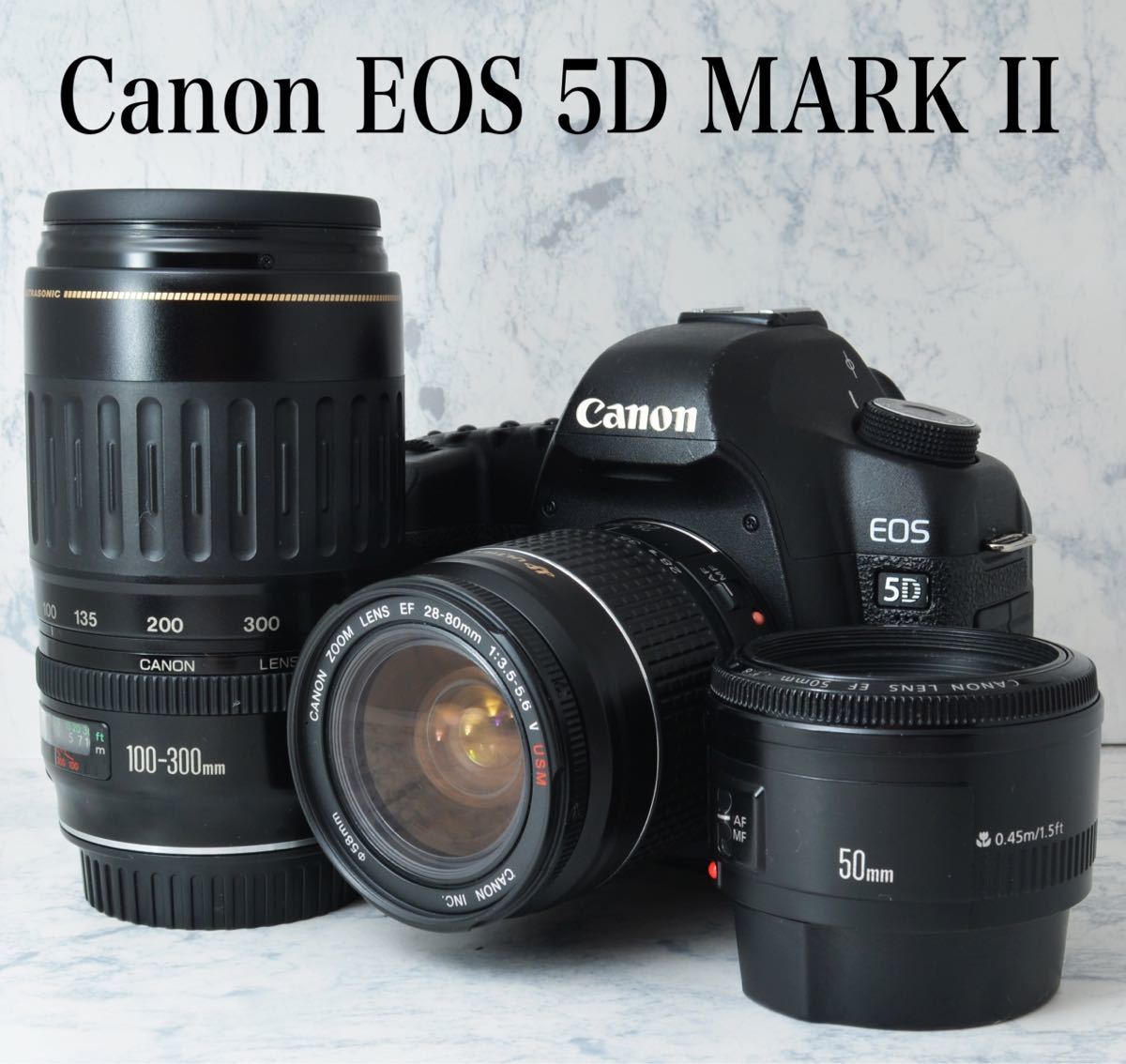憧れのフルサイズ機 トリプルレンズ キャノン EOS 5D MARKII 1ヶ月 