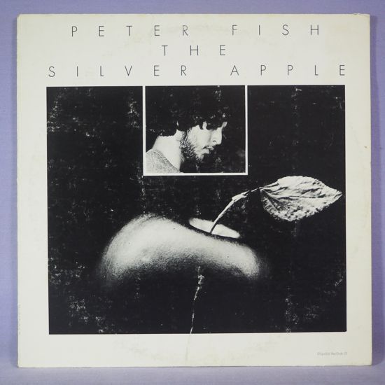 【100%新品，安い】 オリジナル ELLIPSOIDレコ PETER FISH/SILVER APPLE 条件有り 多数出品中 名盤(ボーカル)｜売買されたオークション情報、yahooの商品情報をアーカイブ公開 - オークファン ボーカル