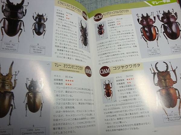 世界のクワガタムシ大図鑑＆世界のクワガタG(ギネス)◇2冊セット(昆虫