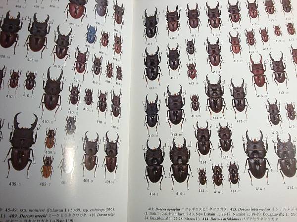 世界のクワガタムシ大図鑑＆世界のクワガタG(ギネス)◇2冊セット(昆虫