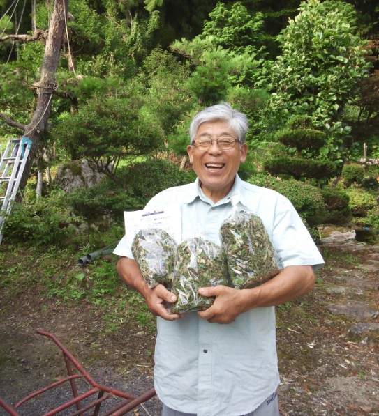 初出品！　天然　薬草茶　極わずか！_1