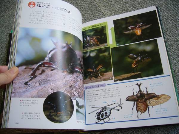 小学館の学習百科図鑑19 花と昆虫 環境とくらし 送300円 図鑑 売買されたオークション情報 Yahooの商品情報をアーカイブ公開 オークファン Aucfan Com