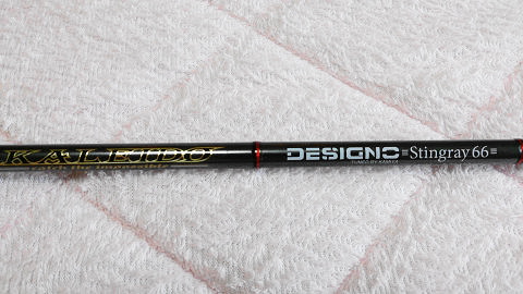 エバ－グリーン カレイド デジーノ ・スティングレイ66_3