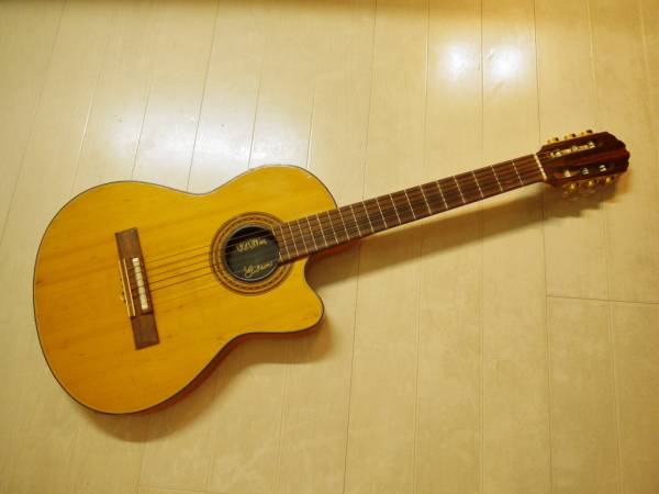 GIBSON CHET ATKINS CE ギブソン エレガット ジャンク C/S(ギブソン 