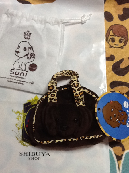 新商品★AP購入★チャン・グンソク★スニちゃんのミニバック★_1