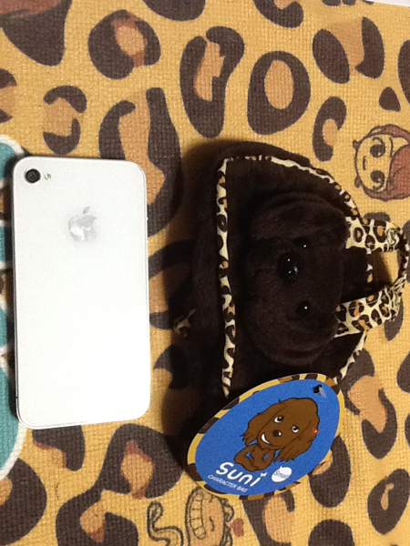 新商品★AP購入★チャン・グンソク★スニちゃんのミニバック★_2