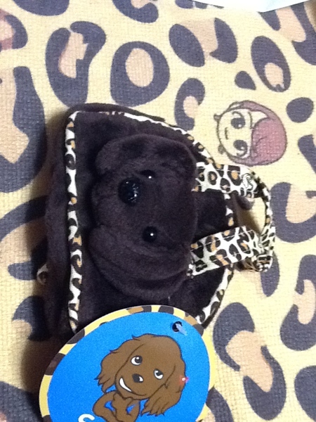 新商品★AP購入★チャン・グンソク★スニちゃんのミニバック★_3