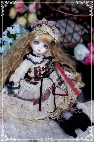 Rosen lied 限定火曜子 Poppy for Dollism plus Tokyo 新品(本体 