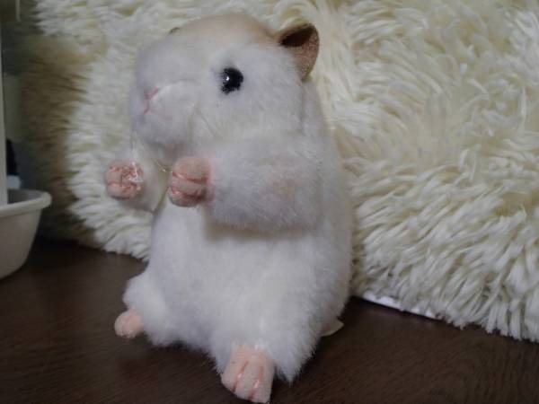 セキグチ ハムスターぬいぐるみ 白 薄茶 12 動物 売買されたオークション情報 Yahooの商品情報をアーカイブ公開 オークファン Aucfan Com セキグチ ハムスターぬいぐるみ 白 薄茶 12 動物 売買されたオークション情報 Yahooの商品情報をアーカイブ公開 オークファン Aucfan Com