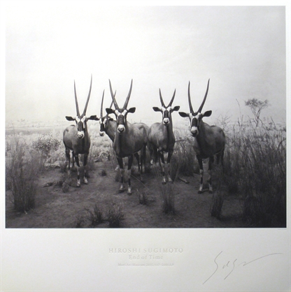 杉本博司 Gemsbok 1980 from End of Time, 2005(版画)｜売買された 