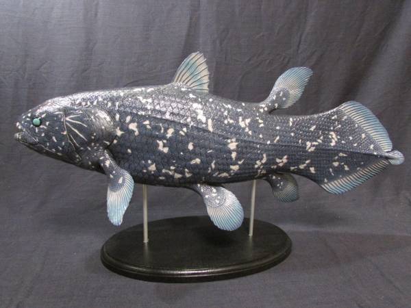 41 ハンドメイド 61cmシーラカンス フィギュア 模型 古代魚(化石
