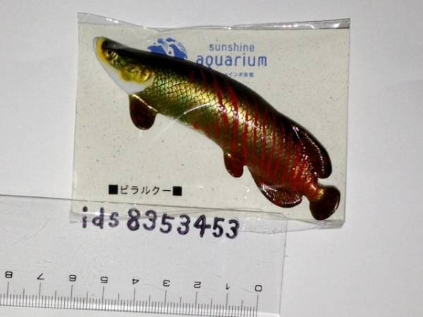 マグネット アロワナ目 ピラルク お魚 魚類 アラパイマ 淡水魚 生き物 売買されたオークション情報 Yahooの商品情報をアーカイブ公開 オークファン Aucfan Com