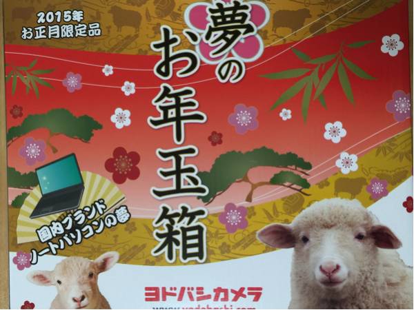 ヨドバシカメラ 国内ブランドノートパソコンの夢 新品 福箱 福袋