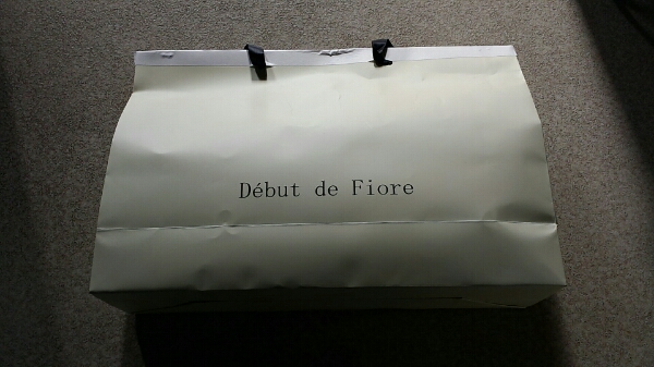 新品 デビュードフィオレ 福袋 2015 約6万円相当