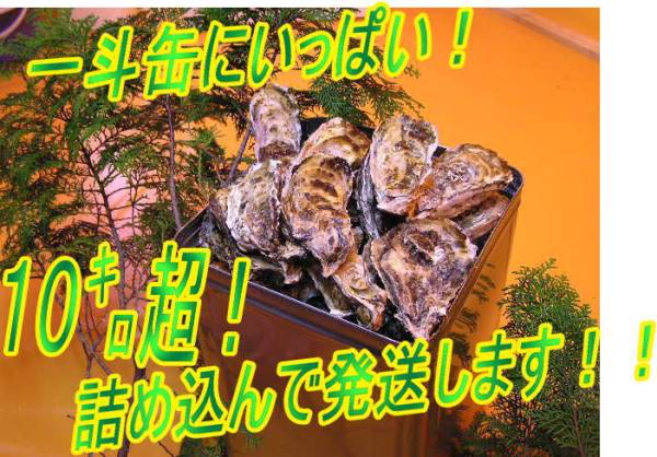 ★　一斗缶にいっぱい詰め込んで10kg以上 １００個～１２０個☆