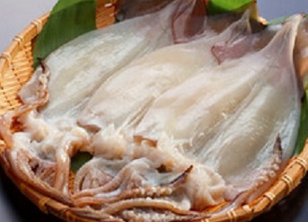 16 駿河湾 ビック真イカ一夜干し10尾(1尾250gアップ) 同梱無制限