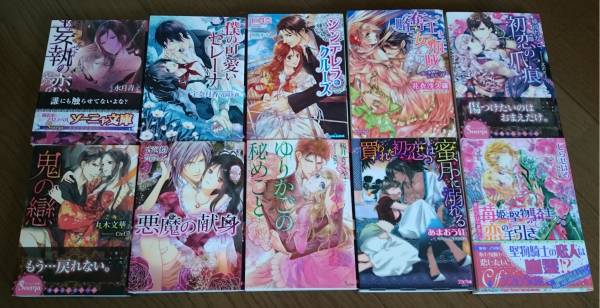 ☆美品 『ソーニャ文庫など　26冊セット』仁賀奈/京極れな☆