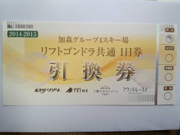 加森観光リフト大人１日券☆ルスツなど