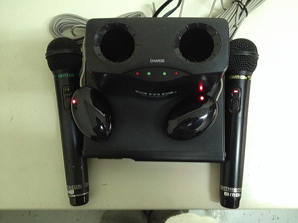 動作確認済□WT-4000レシーバーワイヤレスマイクセット□赤外線 「bmb