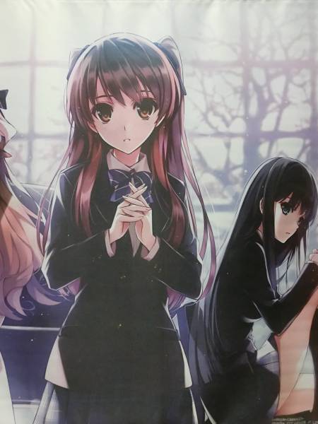 White Album 2 Last Stage3 B0 タペストリー 深崎暮人 黒谷忍 タペストリー 売買されたオークション情報 Yahooの商品情報をアーカイブ公開 オークファン Aucfan Com