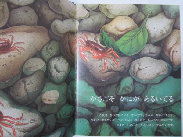キンダーブック3 しぜん さわがに◇フレーベル館 昭和56年発行(知育
