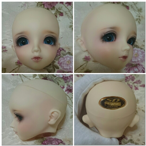 SD女の子シャルロッテ 中古