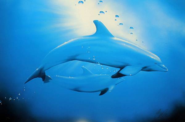 ■ラッセン 【トランクィリッティー】 シルク サイン エディ有