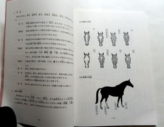 ☆【乗馬】初心者のための乗馬テキスト LET'S ENJOY RIDING☆(乗馬