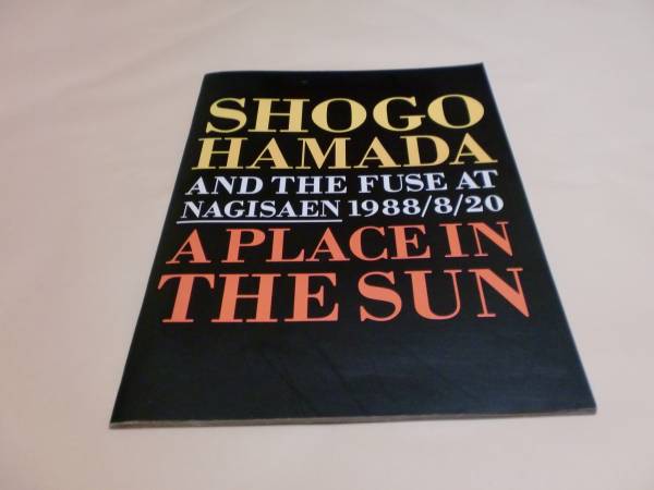 浜田省吾パンフ【1988/8/20 渚園 A PLACE IN THE SUN】(パンフレット