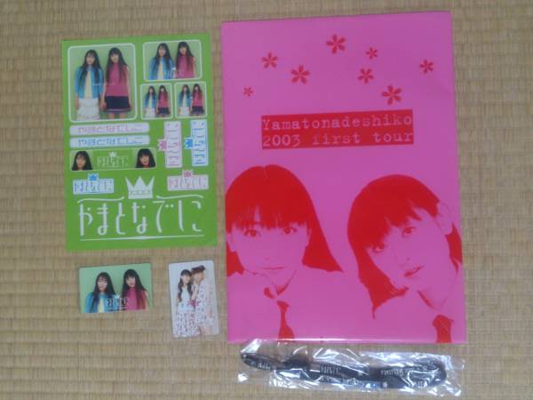 やまとなでしこ 堀江由衣 田村ゆかり ポスター等ライブグッズ(タレント