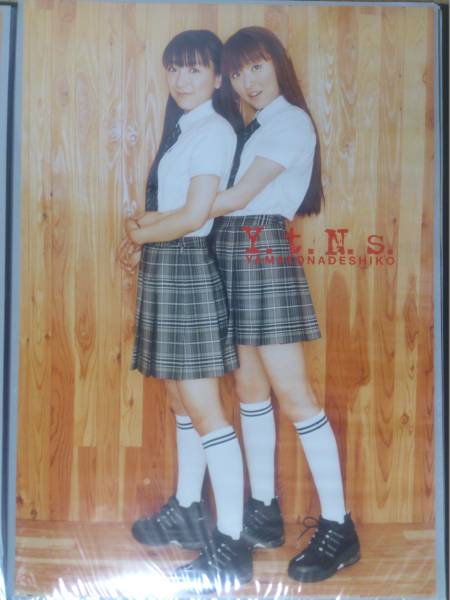 やまとなでしこ 堀江由衣 田村ゆかり ポスター等ライブグッズ(タレント