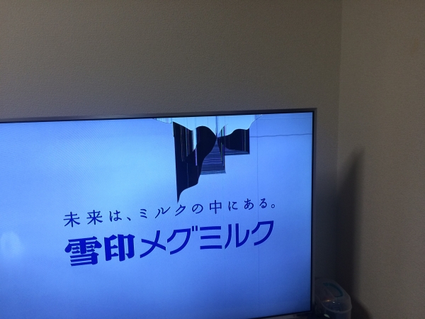 Panasonic TH-L55DT60 液晶割れ ジャンク品！(液晶)｜売買された