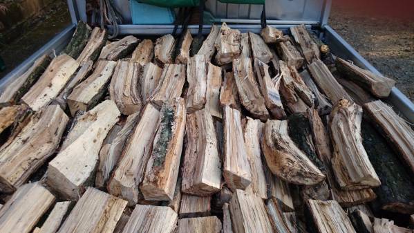 薪　今シーズンも出します　杉