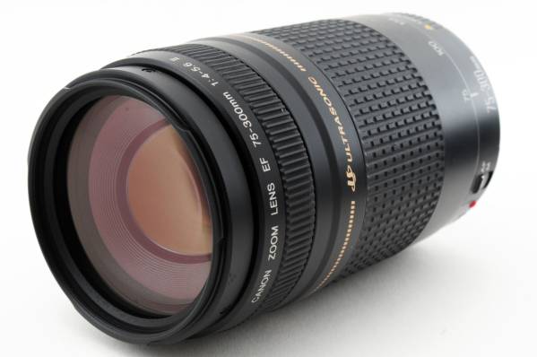 ★極上品★Canon キャノン EF 75-300mm F4-5.6 II USM★大望遠♪