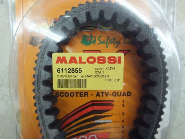 MALOSSI製　SCARABEO250他用ベルト　新品　F