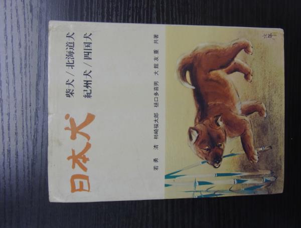 AI-日本犬　柴犬/北海道犬/紀州犬/四国犬