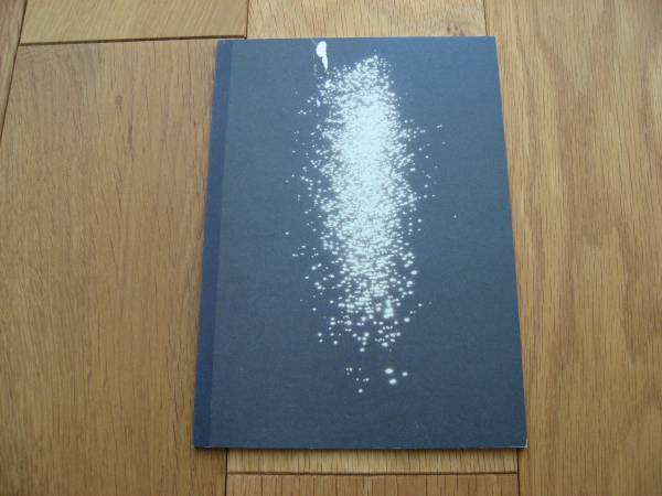Borthwick Mark If We're | ⁄ - 小宮山書店 Photo: Pioneers Pioneer's
